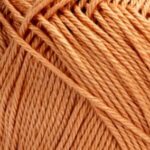 0082 SALMONE STELLINA