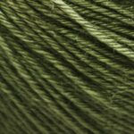 19006 verde salvia meriwash